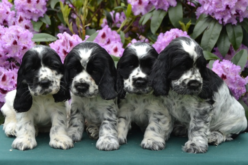 25-Habi, Hanny, Hart, Haidi.JPG